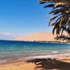 يا سامعين ردوا عليا افراحنا دي إسلامية.m4a