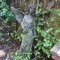Kathy Richstone