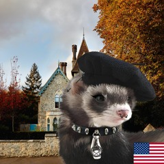 TheGothFerret