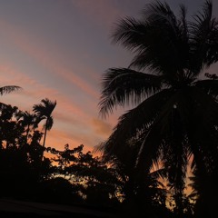 𝒟𝒶𝓃𝓃.𝒮𝒶𝓂𝓊ℯ𝓁❀
