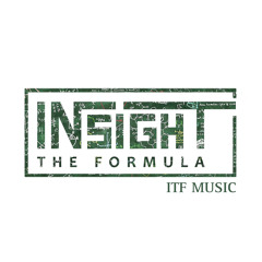 INSIGHT THE FORMULA