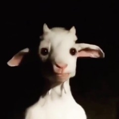 (The Official) NoFaceBizzy