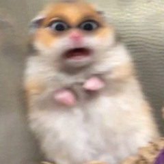Đức Kiên