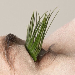 سوزان
