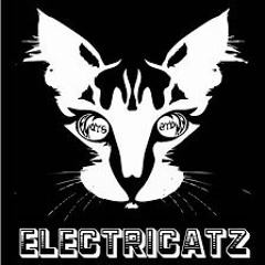 Electrikatz