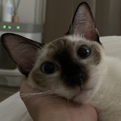 YUMI