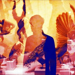 Michal Ho