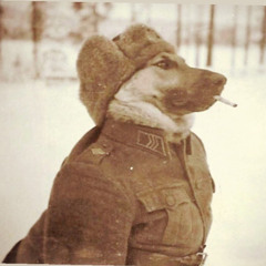Chap Chaplin