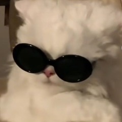 HINO - NHÂN PHẨM -