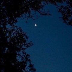 Nyx