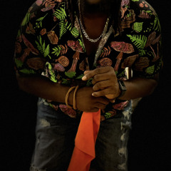 Mr.LNM.