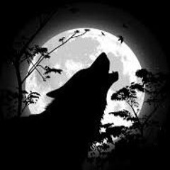 Rokkout_BlackWolf