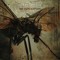 The Fly