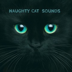 naughtycatsounds