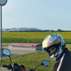 Даник