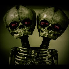 terror gemini
