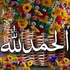 Samr Salm