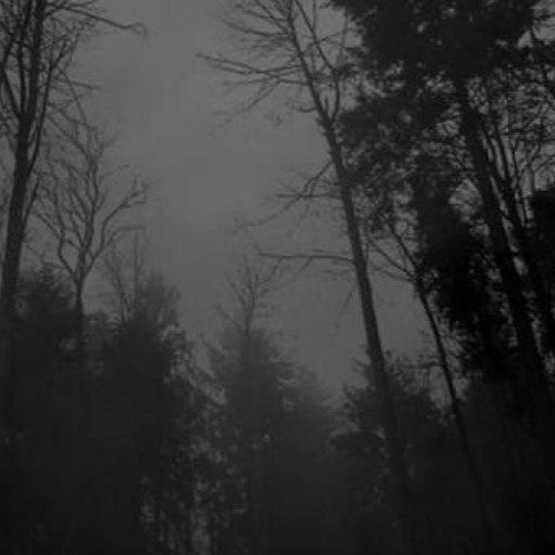 Stream from the ruins music | Listen to songs, albums, playlists for ...