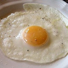 Official Egg