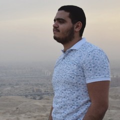 Tarek Samer