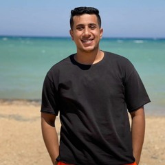 hady elsharkawy