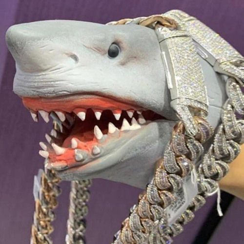 Shark Puppet’s avatar