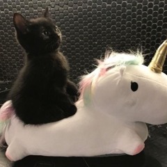 Kawaii :3