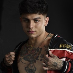 Davinci Purosangue