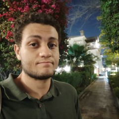 محمد بن منير