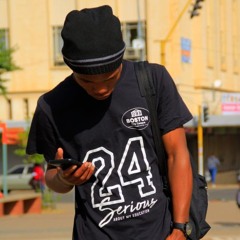 DistroKid Wheel of Playlist