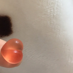 태경