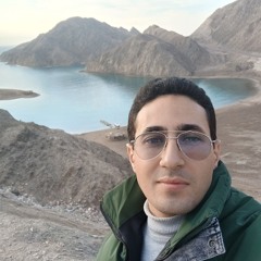 محمد السيد