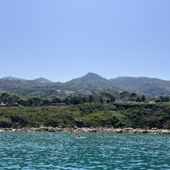hessaalfaris
