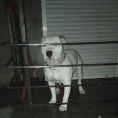 Хочу спокою