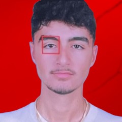 ORI PETEL