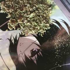 Wiz_228