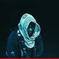 Виктор Гудзен