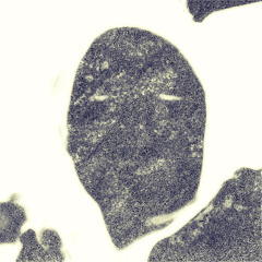 a. b