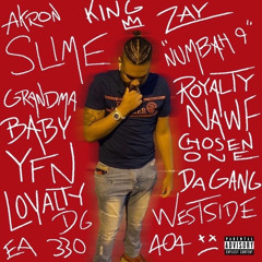 DG Zay