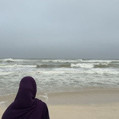 suwaidy2