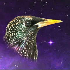 Lux Starling