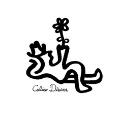 Calico Discos