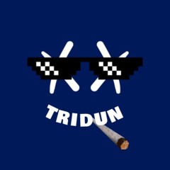 TRIDUN