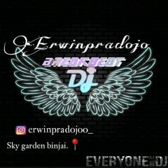 Erwinpradojo