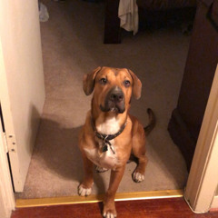 Victor