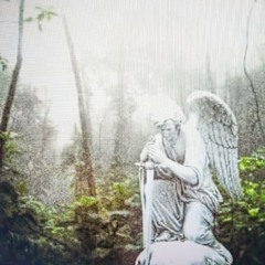 $amwitadollasign (official)