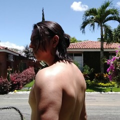 Alvaro José Montes M.