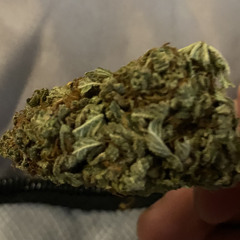 24:7cones