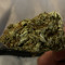 24:7cones