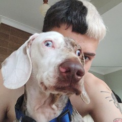 Craveiro
